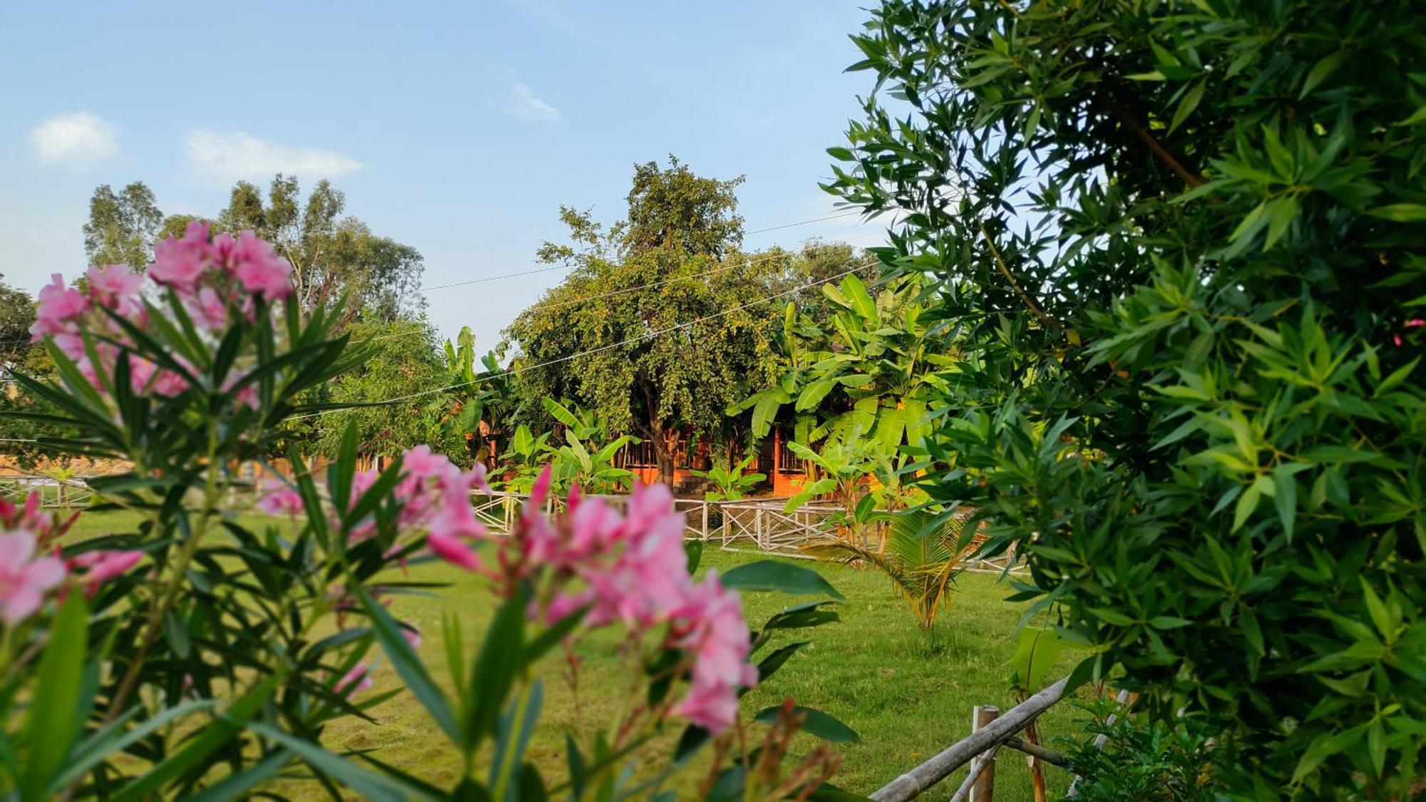 Waterfall Guesthouse ฮัมปี ภายนอก รูปภาพ